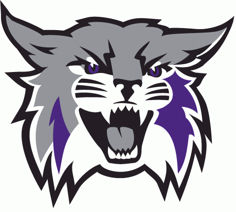 Weber State Wildcats logos iron-ons